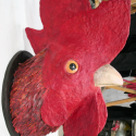 Cockrels-Head-Barcelona-Commison--376x450